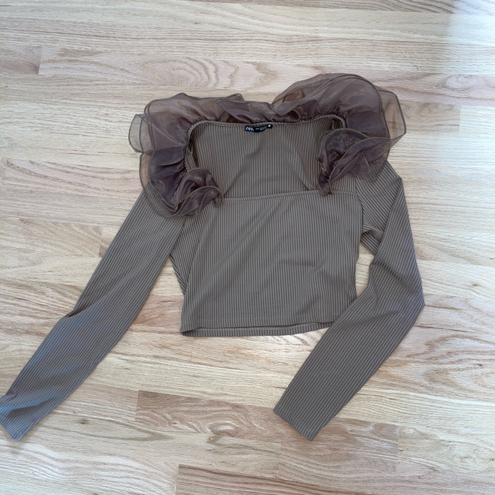 Zara Brown Top